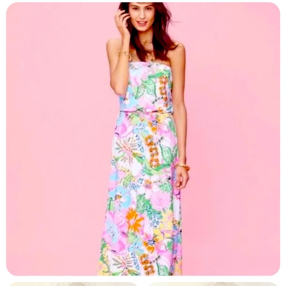 Lilly Pulitzer for Target Nosey Posey Strapless Tube Maxi Dress Sz S